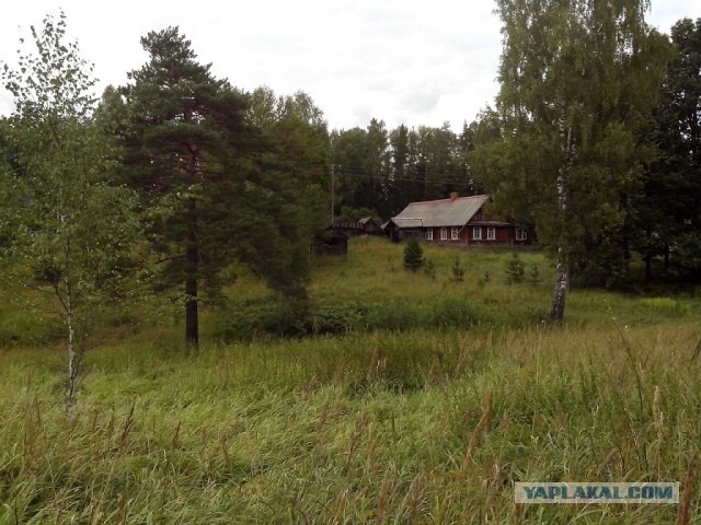 10 дней в Псковской области.