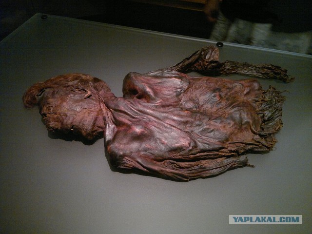Интересные факты о самых необычных мумиях