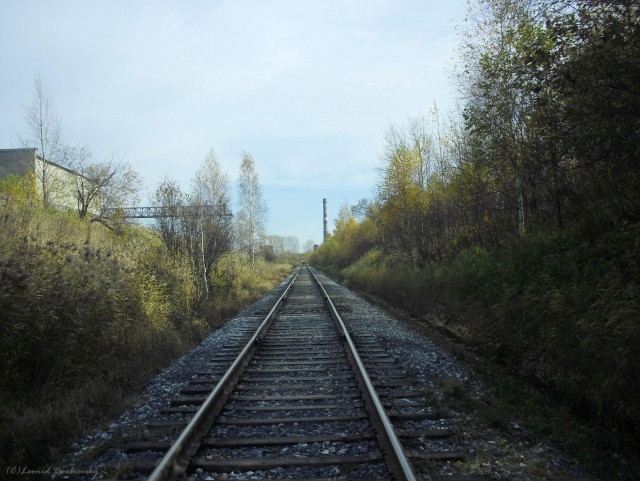 В черном городе