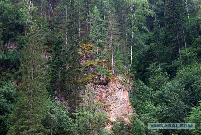 Сибирь 2015