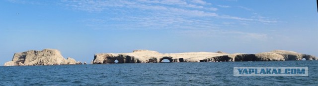 Отчет о путешествии в  Перу