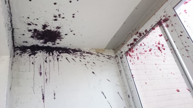 Последствия аномально теплой погоды в Москве