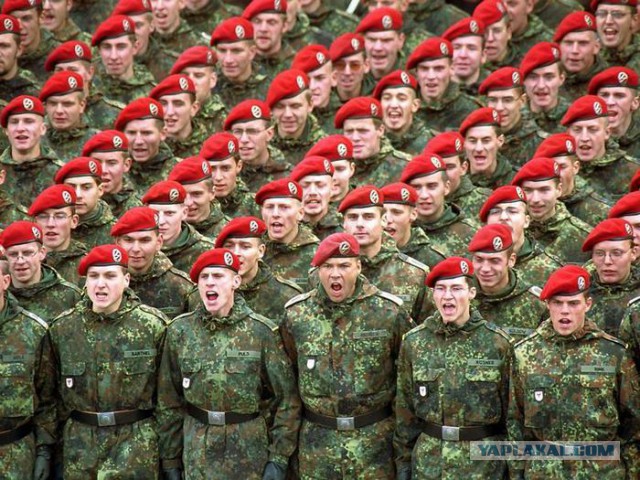 Генетическая память сработала