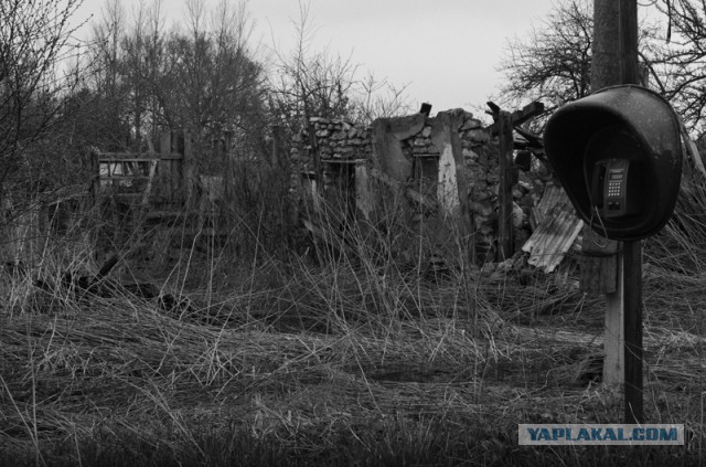 Жизнь по ту сторону цивилизации