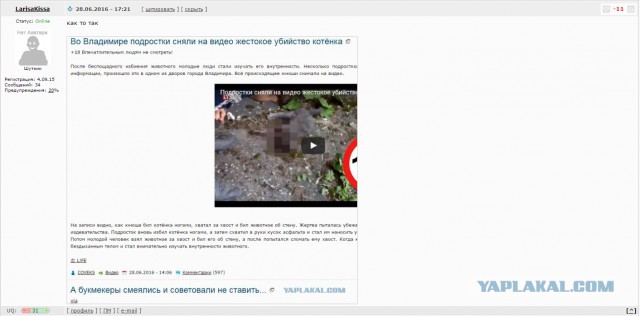 Во Владимире подростки сняли на видео жестокое убийство котёнка