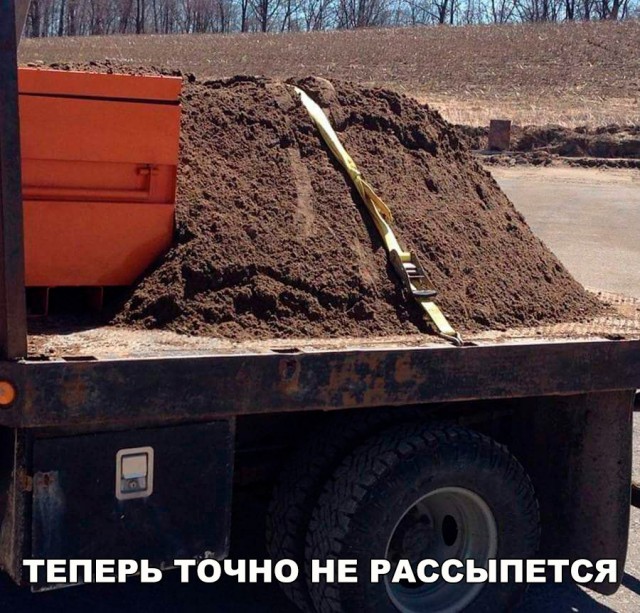 Подборка безудержного веселья