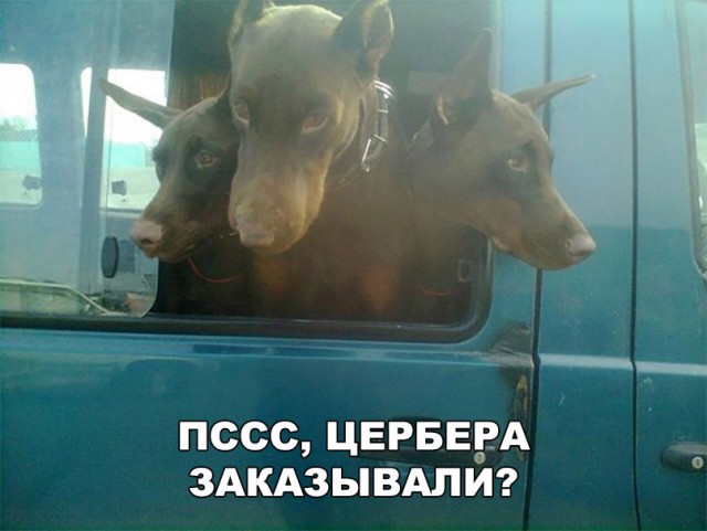 150 картинок для поднятия настроения!