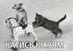 Две новости про мигрантов: Германия и Австрия