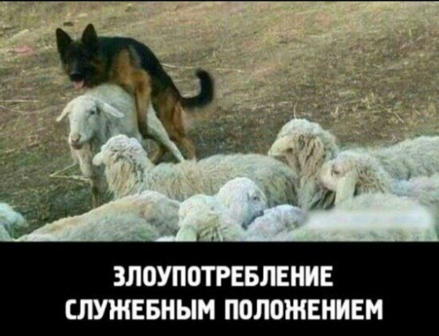 На зарядку позитивом становись!