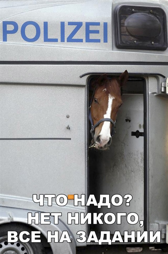 Нестандартный юмор