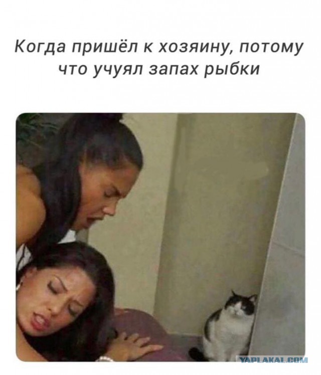Закончил - оботри станок и сразу смотри картинок чуток!