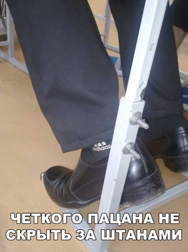 Прикольные картинки обо всём