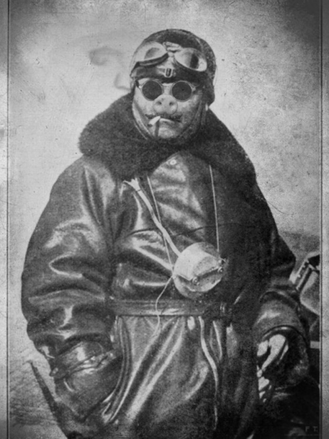 «Лучше быть свиньёй, чем фашистом»©