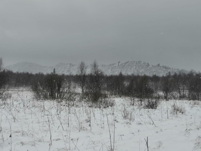 Здесь волки крадут овец, а люди держат дома обрезы