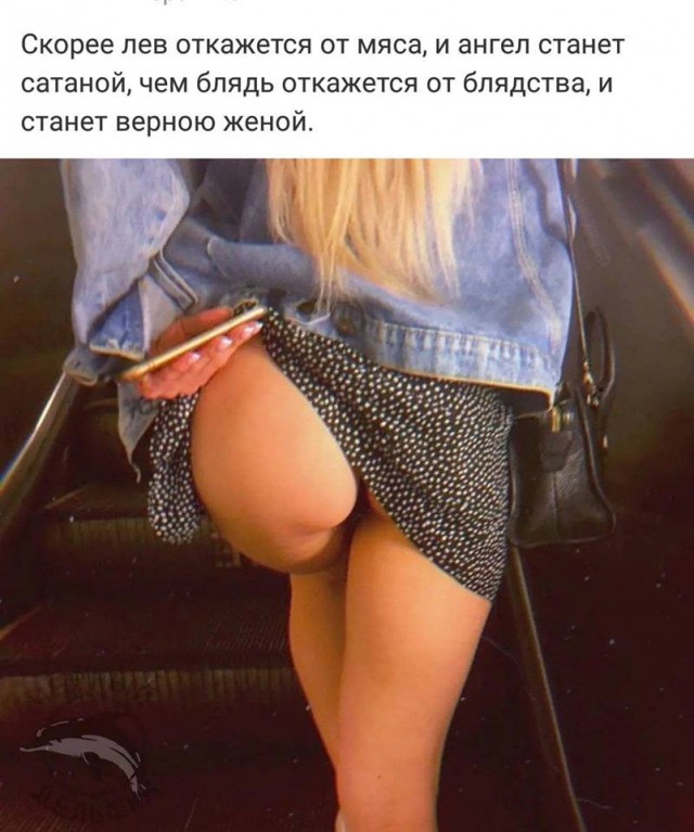 Так, граждане тунеядцы! Картинки, значит, смотрим