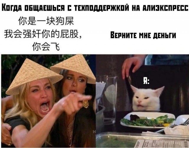 Мем "женщина кричит на кота" и его варианты