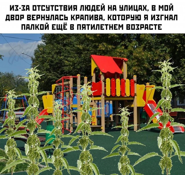 Так себе картинки 14.05.20