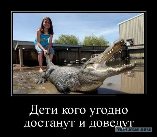 Хватай, хватай