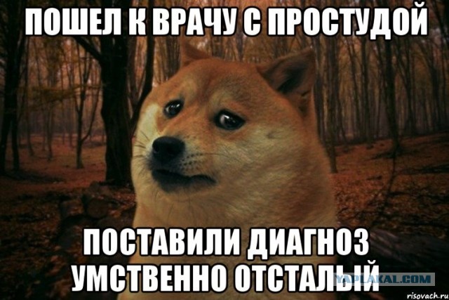 Бизнесмен решил помочь