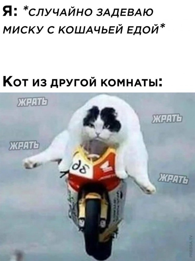 С наступающим! Картинки и мемы для настроения 031