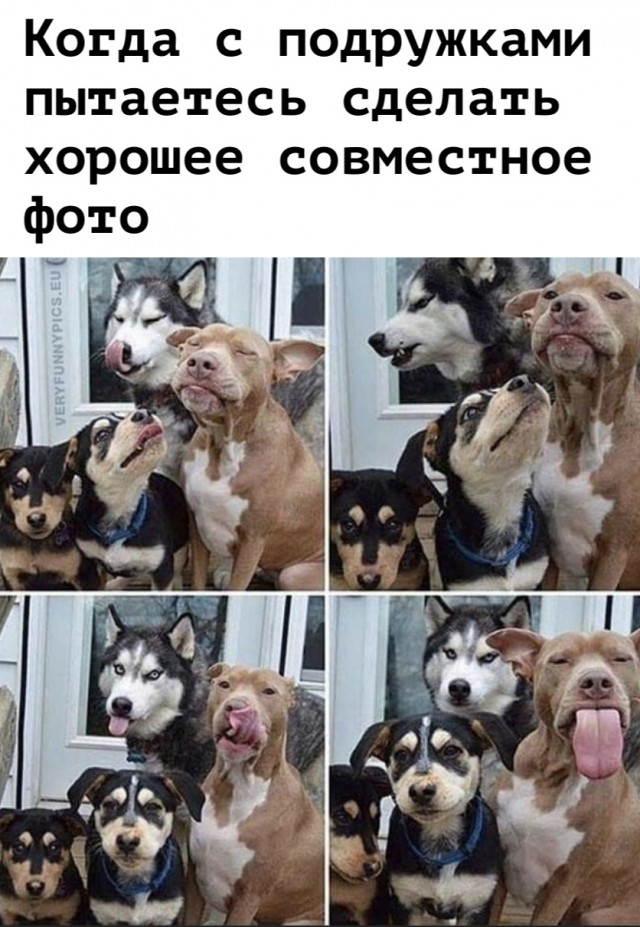 Картинки и мемы для настроения 028