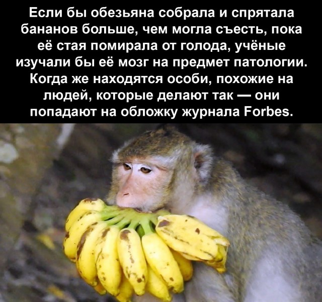 Картинки разные нужны, картинки всякие важны