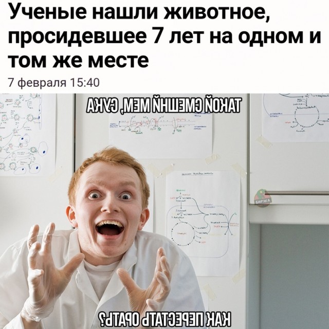Картинки 12.02.21