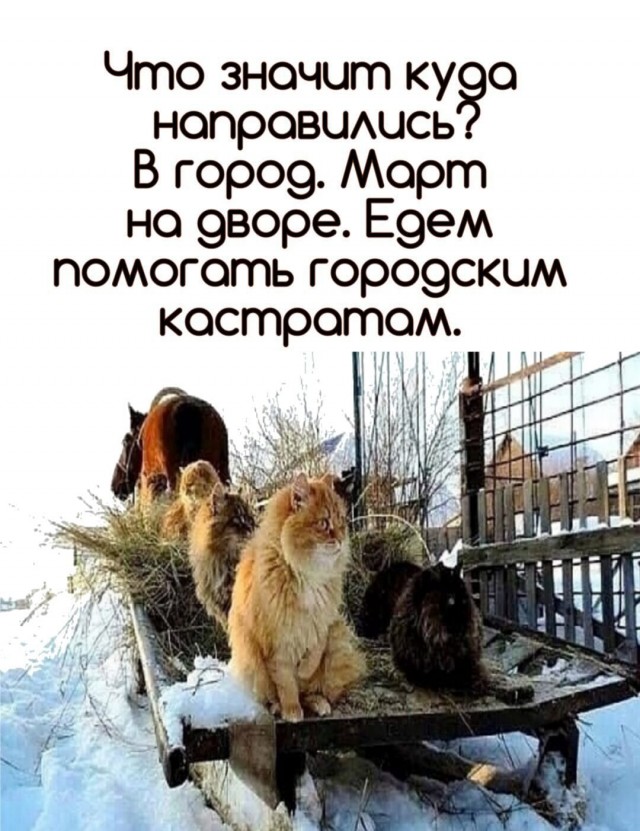 Картинки и мемы для настроения 023