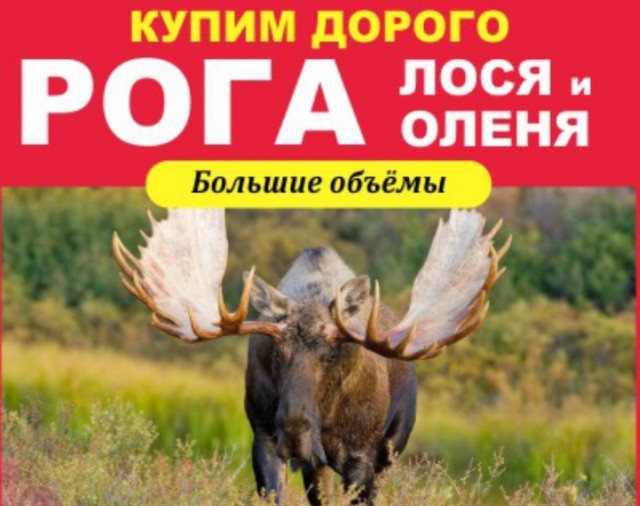 Усыновил сына жены от прошлого брака. Теперь плачу на него алименты