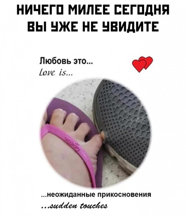 Весёлый полтишок 20.07