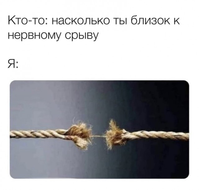 Весёлый полтишок 8.08