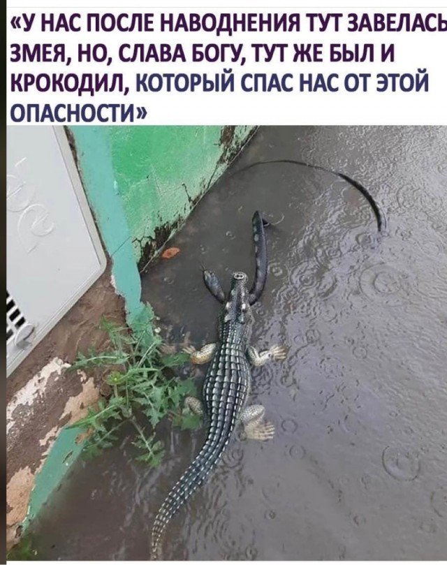 Картинки и мемы для настроения 17.08.2021