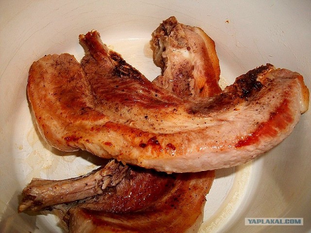 International одной книги., В память о Дженибеке.