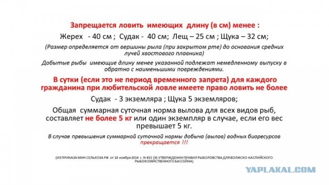 Щука 18 кг