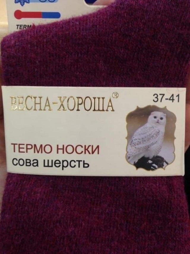 Картинки и мемы для настроения 18.10.2021
