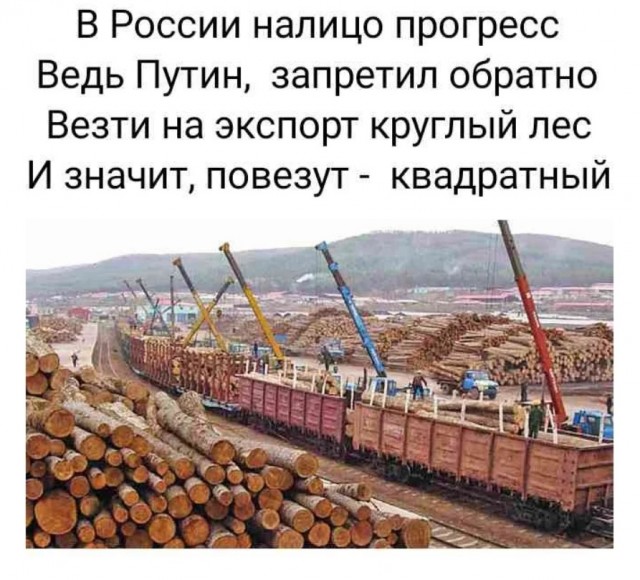 Россия продает японцам право вырубать дальневосточный лес