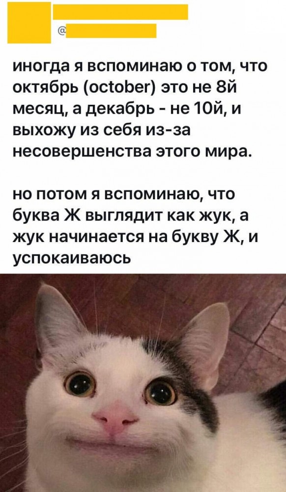 Баяны бабыЯны