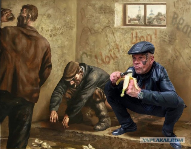 Чудики из социальных сетей 04.12.21