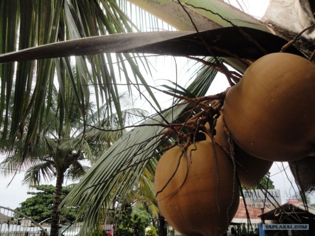 Путешествие в Сьерра-Леоне