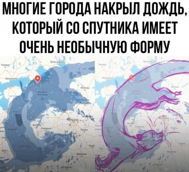 Народная меДИЧина 7.08