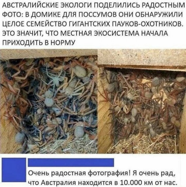 Так себе картинки 19.10.22