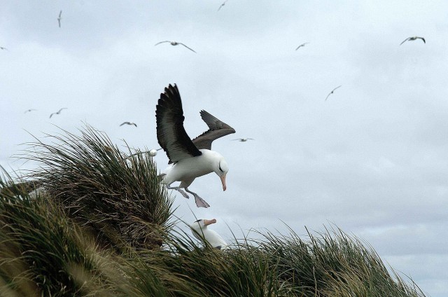 Северный ледовитый океан