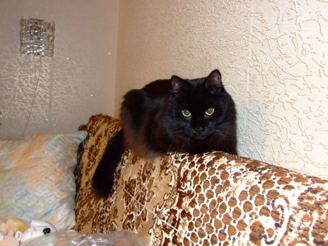 Космодром Плесецк