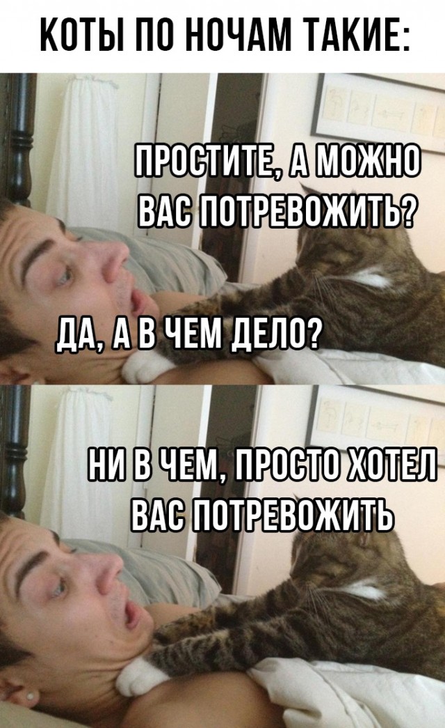 Немного картинок для настроения - 127