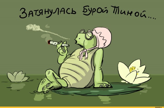 Прикольные и просто красивые картинки 03.02.2023