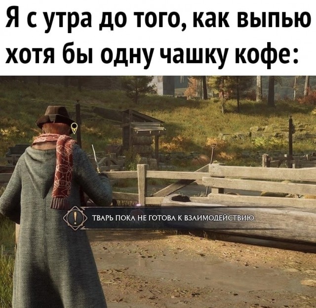 Так себе картинки 15.02.23