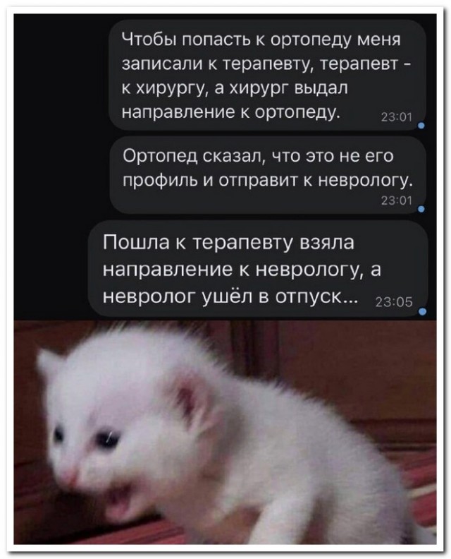 Забавные комментарии из социальных сетей (20.03.23)