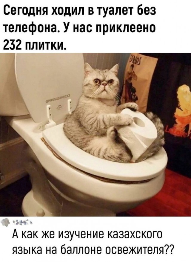 Всего понемногу. От 05.08