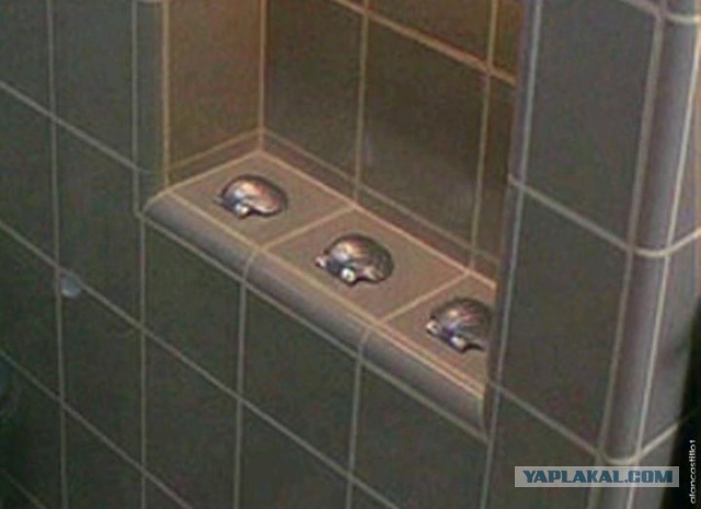 У человечества осталось меньше девяти лет...