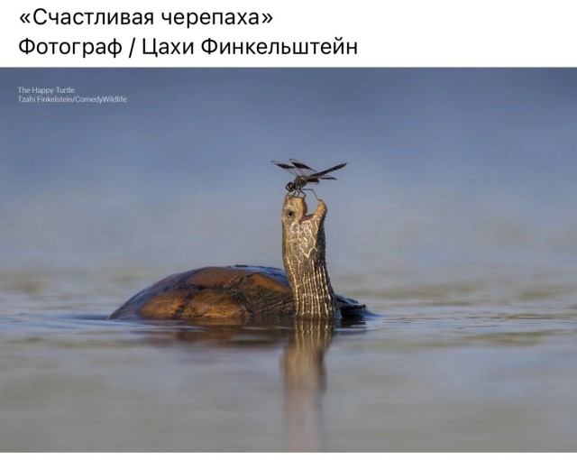 Так себе картинки 12.10.23